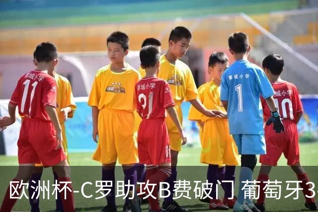 欧洲杯-C罗助攻B费破门 葡萄牙3-0土耳其